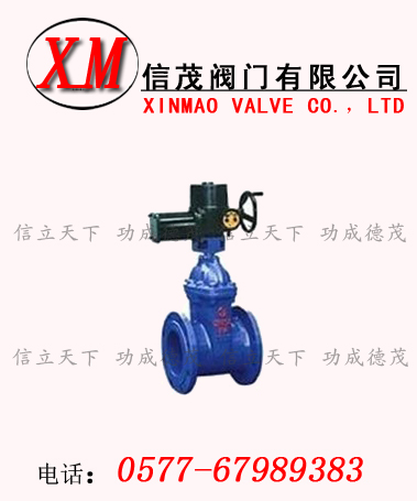 電動(dòng)軟密封閘閥